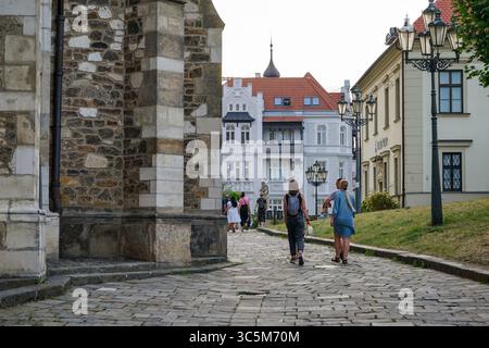 Pavement next to St Peter and St Paul Cathedral in Brno, Czech Republic Stock Photo