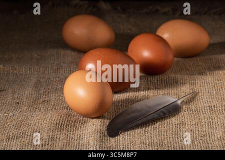 This image showcases fresh homegrown chicken eggs arranged beautifully against a textured burlap backdrop, highlighting their rustic appeal. Ideal for Stock Photo