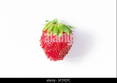 Single strawberry on white background Stock Photo