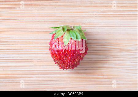 Single strawberry on wood background Stock Photo