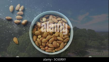 Displaying white bowl holding almonds on dark table, scattered almonds, treetops, pale blue sky Stock Photo