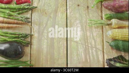 Displaying assorted fresh vegetables lining wooden plank surface, with translucent forest overlay Stock Photo