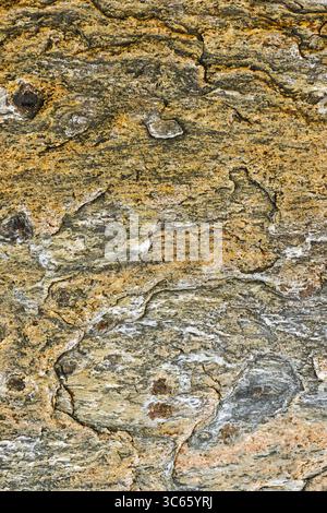 Natural rock surface reveals beautiful textures and colors, indicating geological processes, during the warm light of sunset by the coast. Stock Photo
