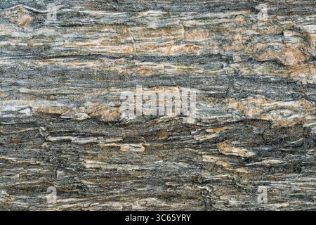 Smooth and rugged stone surface displays unique textures and mineral patterns with shades of gray and light beige, creating a natural artwork. Stock Photo
