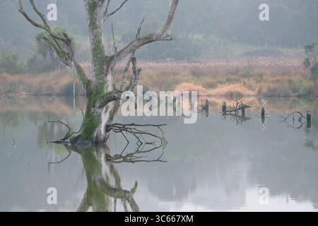 Dead In The Water Stock Photo