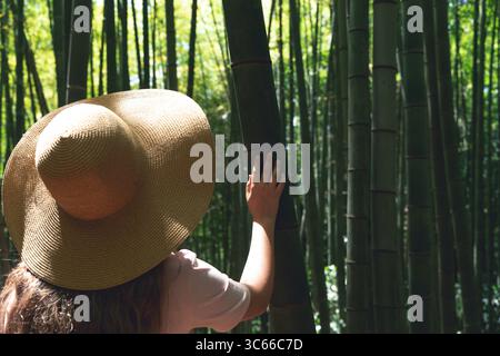 Back view of a girl with long wavy hair and a straw hat standing in a dense bamboo forest. She is wearing a light pink dress and looking up at the towering bamboo stalks surrounding her. The sunlight filters through the green canopy, creating a peaceful and immersive atmosphere. Captures the essence of nature exploration, mindful travel, and eco tourism in Asia.  Stock Photo