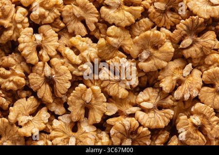 Full frame of heap of fresh raw crispy walnuts without shells Stock Photo