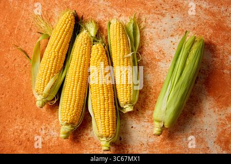 Fresh corn on the cob with husks on a rustic surface Stock Photo