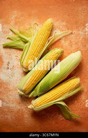 Fresh corn on the cob with husks on a rustic surface Stock Photo