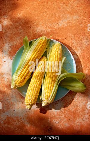 Fresh corn on the cob on a rustic surface Stock Photo