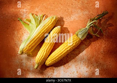 Fresh corn on the cob on a rustic surface Stock Photo