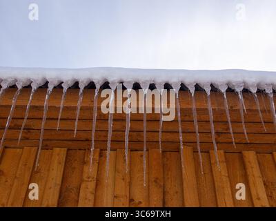 Multiple icicles hanging from a wooden roof edge, formed by freezing water dripping during winter weather conditions creating a natural ice curtain. Stock Photo