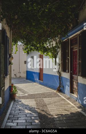 View of a cobblestone street winding through quaint buildings with blue trim, and vibrant green foliage overhead, Koskinou, Rodhes, Greece. Stock Photo