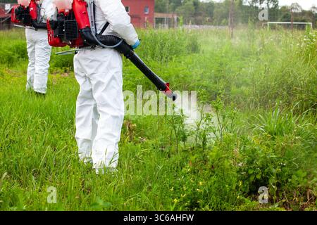 Worker in full protective gear, including gloves and a white suit, uses a motorized backpack sprayer to apply herbicide on tall weeds in an overgrown Stock Photo