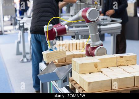 A close-up view of an industrial collaborative robot arm - cobot equipped with a vacuum gripper handling and stacking wooden blocks on a conveyor line Stock Photo