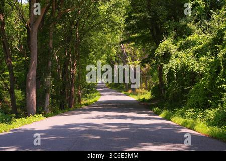 Shadowed Country Road Stock Photo
