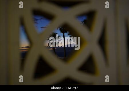 Palm trees at dusk seen through geometric fence pattern, capturing a tropical sunset over the ocean with soft colors and moody shadows Stock Photo