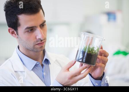 Male scientist wearing lab coat examining glass beaker with soil and seedlings in bright laboratory. Research, innovation, ecology, green, experimenta Stock Photo