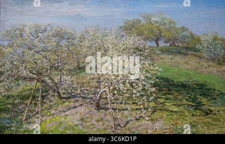 painting called Spring, Fruit Trees in Bloom by Claude Monet at the New York MET art museum Stock Photo
