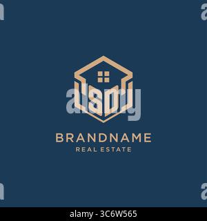 Initial SD hexagonal house roof shape icon logo design vector graphic Stock Vector