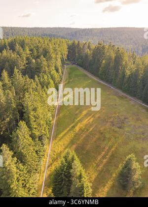 Aerial view of a forest clearing surrounded by dense trees, with ...