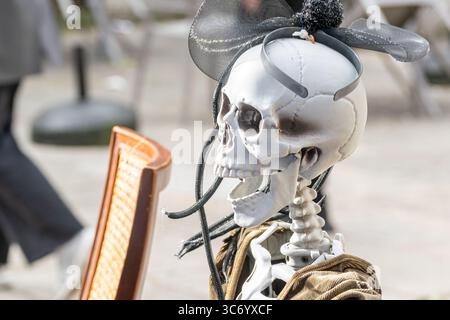A Skeleton Wearing a Hat for a Halloween Decoration. Concept Humorous and spooky decor. Stock Photo