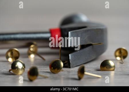 A close-up image of a hammer with a red handle surrounded by scattered brass tacks on a wooden surface Stock Photo