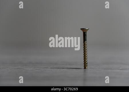 Close-up of a single steel screw standing upright on a smooth grey background, highlighting its metallic texture and precision-engineered threads Stock Photo