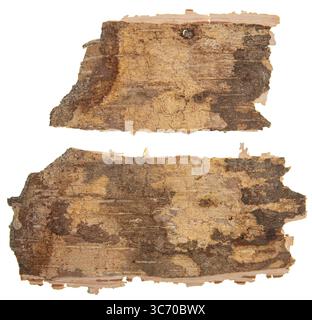 Back side of birch bark isolated on white background Stock Photo