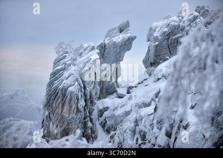 Unique rocky formation draped in thick snow creates a striking contrast against cloudy winter sky. Frosty trees surround area, enhancing the serene an Stock Photo