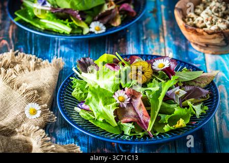 Fresh salad with mixed varieties and edible flowers on a rustic blue wooden background Stock Photo