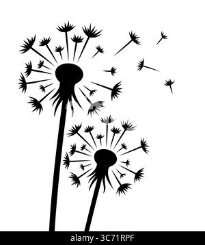 A flower of a field dandelion with seeds. Stock Vector