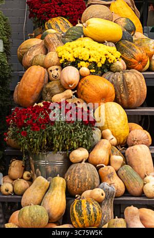 Colorful Pumpkins and Flowers on the Stairs of an Old Brownstone Home ...