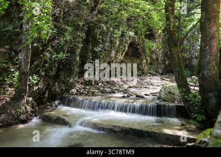 Small waterfall flowing through a green forest with rocks and trees. Stock Photo