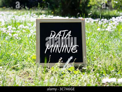 Data Mining symbol. Concept word Data Mining on chalk blackboard. Beautiful meadow background. Business and Data Mining concept. Copy space. Stock Photo