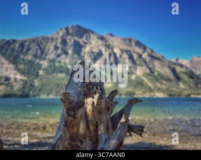A scenic vista showcasing a weathered tree stump in the foreground, with a serene lake and majestic mountains under a clear blue sky in the background Stock Photo