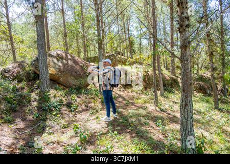 Wide-angle shot of a smiling photographer in a pine forest taking a selfie while holding his camera, showcasing his outdoor photo adventure. Stock Photo