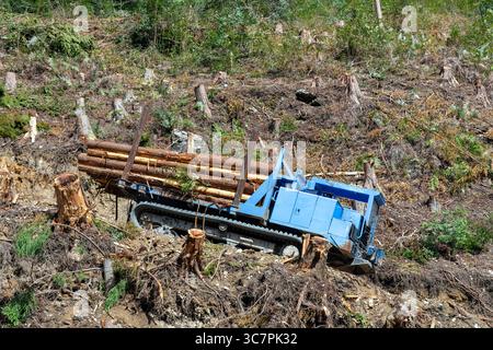 Blue colored forwarder or transporter (specialized forestry machine) loaded with logs on a steep hill in Japan surrounded by a hillside where trees ha Stock Photo