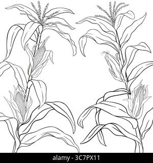 Corn Plant with Cobs Outline Frame Stock Vector
