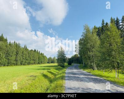 A beautiful gravel road leads through a peaceful countryside landscape on a sunny day. Stock Photo