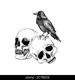 Black crow sit on skulls. Graphics illustration with white background. Hand drawn vector in Gothic style for Halloween, Day of the Dead, Esoteric Stock Vector