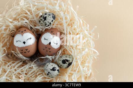 Two sleeping owls in the nest. Brown Easter eggs, quail eggs on yellow straw. Space for your text. Stock Photo
