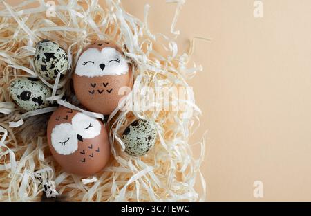 Two sleeping owls in the nest. Brown Easter eggs, quail eggs on yellow straw. Space for your text. Stock Photo