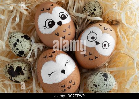 Cute owls in the nest. Brown Easter eggs, quail eggs on yellow straw. Stock Photo