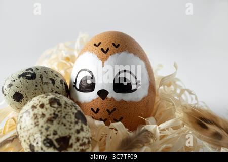 Funny owl made of egg. Brown Easter egg in a straw nest and quail eggs. Stock Photo