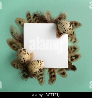 Easter frame ade of quail eggs, square white paper and feathers on turquoise background. Flat layout, top view, copy space. Stock Photo