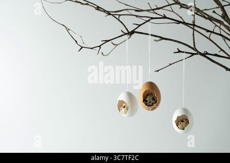 Easter decoration of eggshells and quail eggs on branches. Light background, space for text, selective focus, horizontal Stock Photo