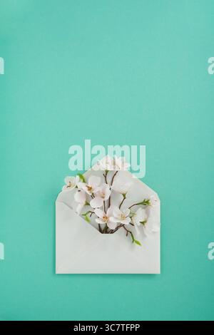 White apple blossoms in a white envelope on a pastel green background. Vertical, space for your text. Stock Photo