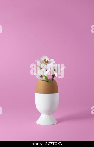 Small vase made of brown eggshell in white egg cup with apple blossoms on pink background. Minimal Easter concept, copyspace. Stock Photo