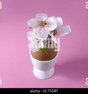 Small vase made of brown eggshell in white egg cup with apple blossoms. Easter concept. Square, pink background. Stock Photo